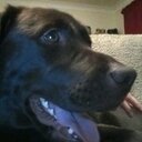 Louise - @louise_bye - Twitter