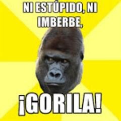 El__Gorila's profile picture. 75 años de pandemia