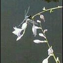 Sue O'Connor - @SueOConnor7 - Twitter