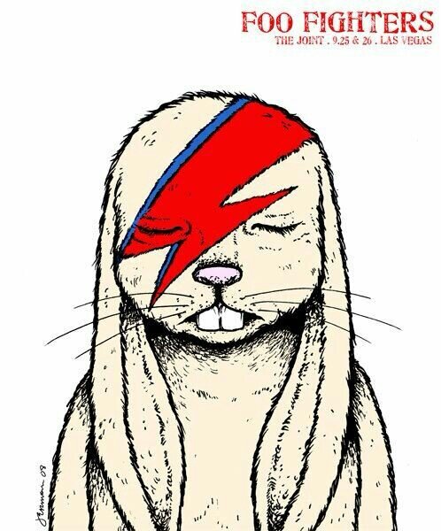 ViniTNT_'s profile picture. 