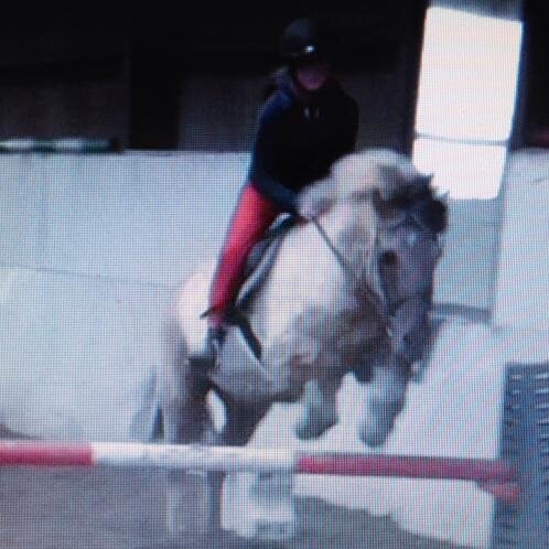14, Pembrokeshire, horse rider, bookworm I follow back