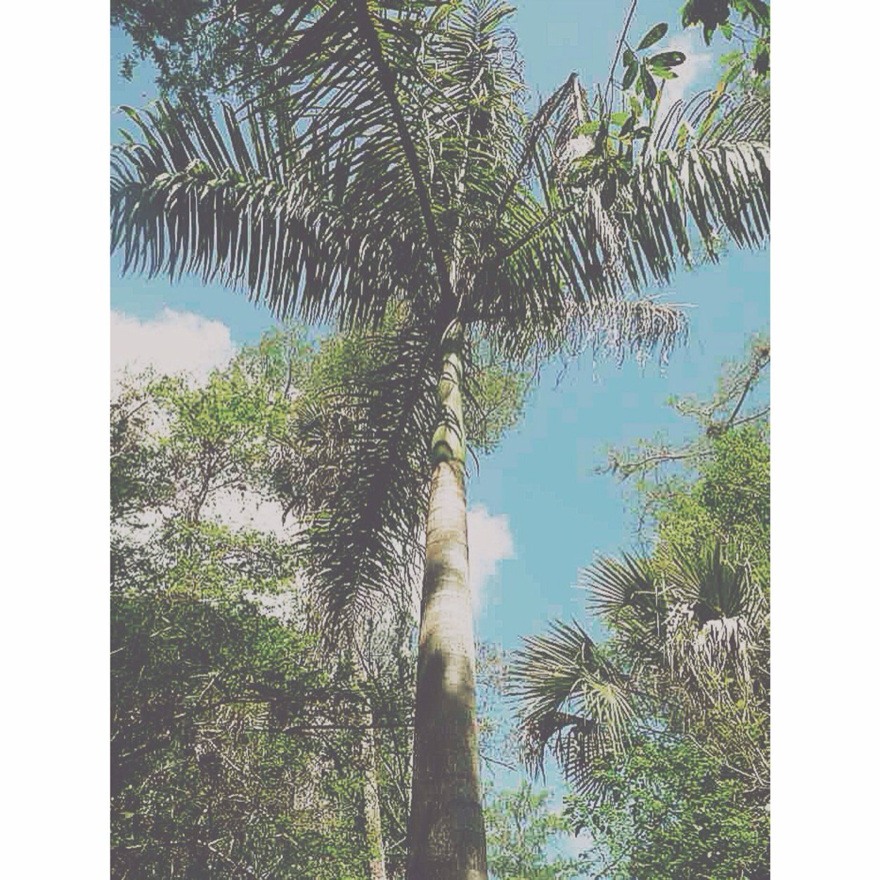 Positive Vibes Welcome