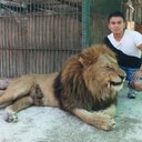 Michael Florian - @michael_naio - Twitter