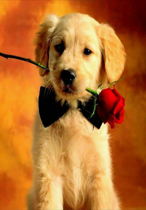 shina120264's profile picture. 