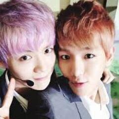 fanatika del k pop