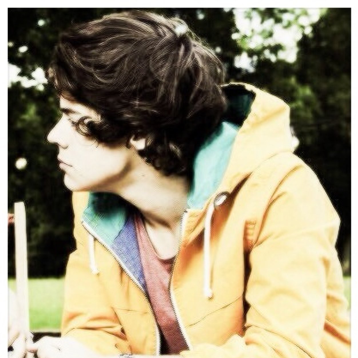 HELP @flwerchildharry REACH HER GOAL OF 3.3K ! One Direction/ Larry/ 5SOS ACCOUNT !