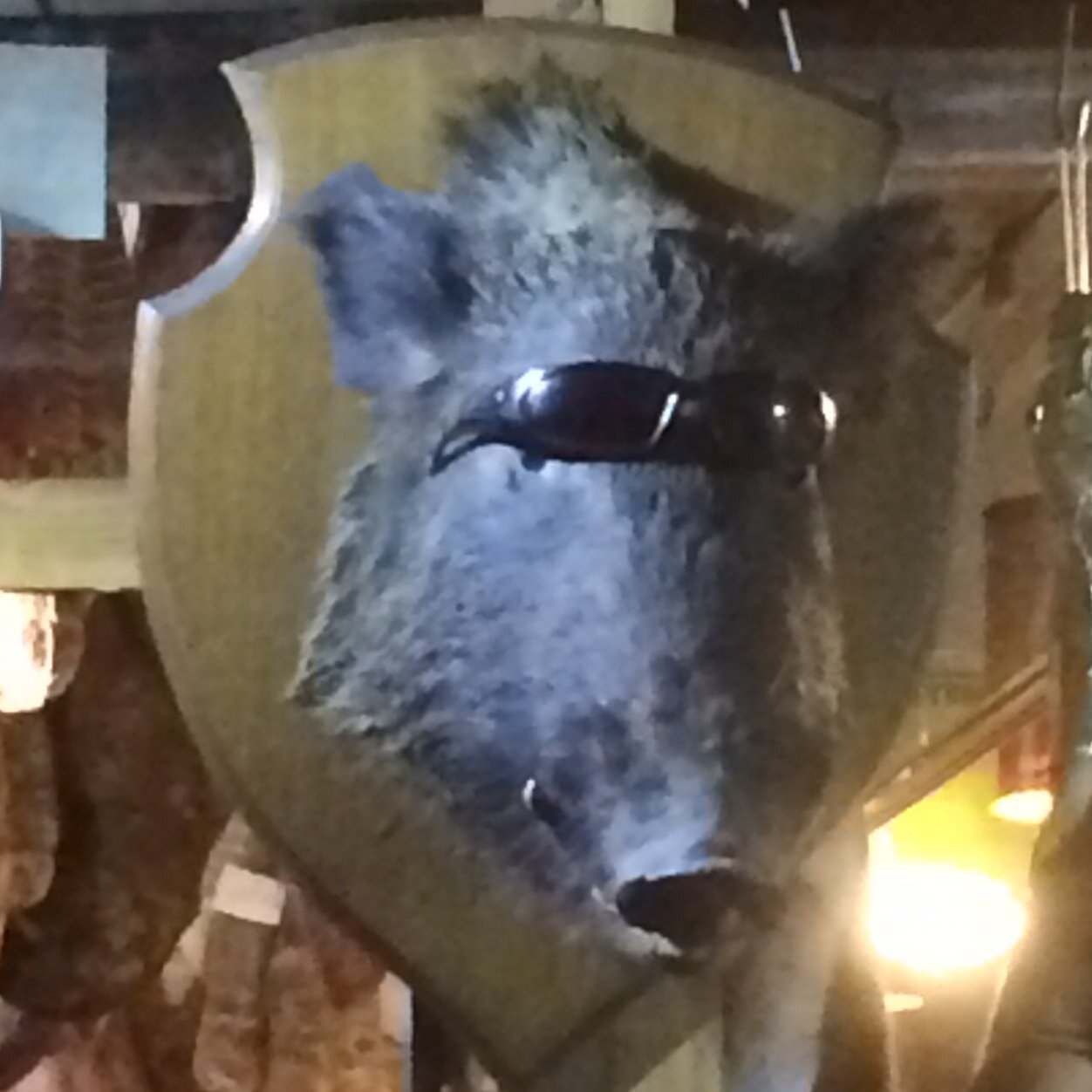 simonjhubbard's profile picture. 