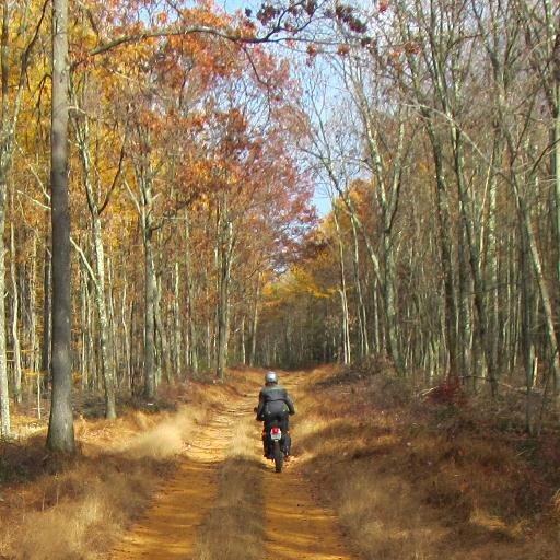 Love the outdoors and nature. Love riding motorcycle. Love our country.
