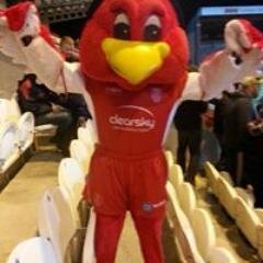 hullkr195's profile picture. 