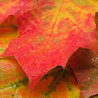 John (@enigmachine) 's Twitter Profile Photo