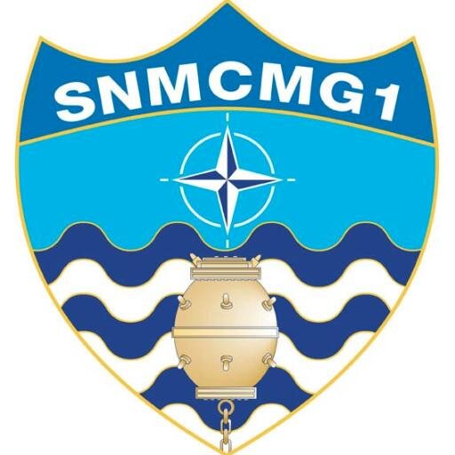 SNMCMG1