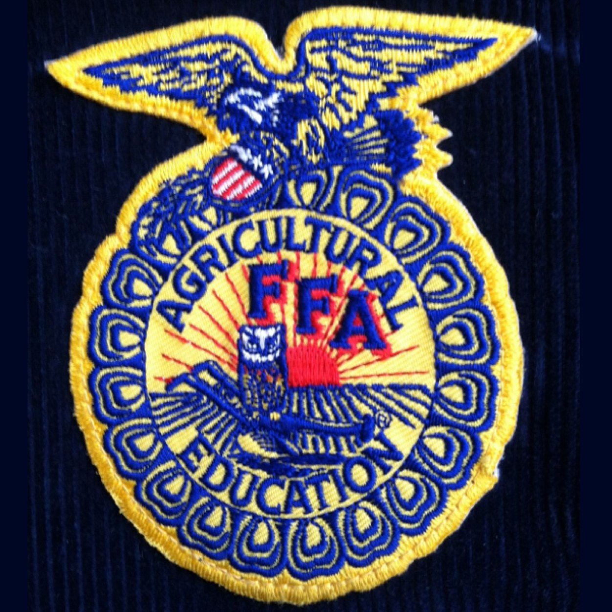 FFA_is_life's profile picture. Just a small town girl in the big state of Florida that loves FFA❤️