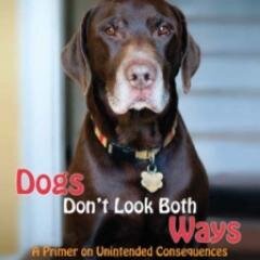 In memory of Joey: a lucky chocolate #Labrador Retriever who loved to run fast & far & be off-lead. Read our #book, DOGS DON'T LOOK BOTH WAYS. I xx my #bike.