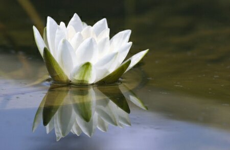 Organises Psychic and Mind, Body and Soul events. Next event 21 June in Cambridge. http://t.co/68zWfwkGoP