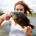 Beth Fish - @beth_oswald - Twitter