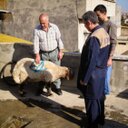 Fannie King - @kingbvla - Twitter