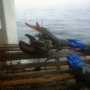 Steven backman - @BackmanSteven - Twitter