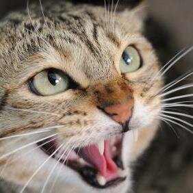 RheumaKai1965's profile picture. Sommersprossen sind auch Gesichtspunkte.