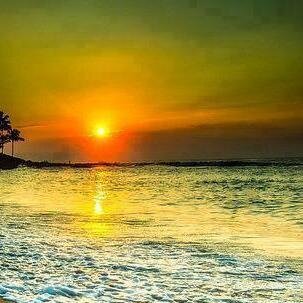 hunters_shadow's profile picture. SHG is a gaming clan who plays games the XBOX 360. Clan Leader:Dahh Kiing Assistant Clan Leader: Schuyler