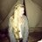 JessicaFermor's profile image