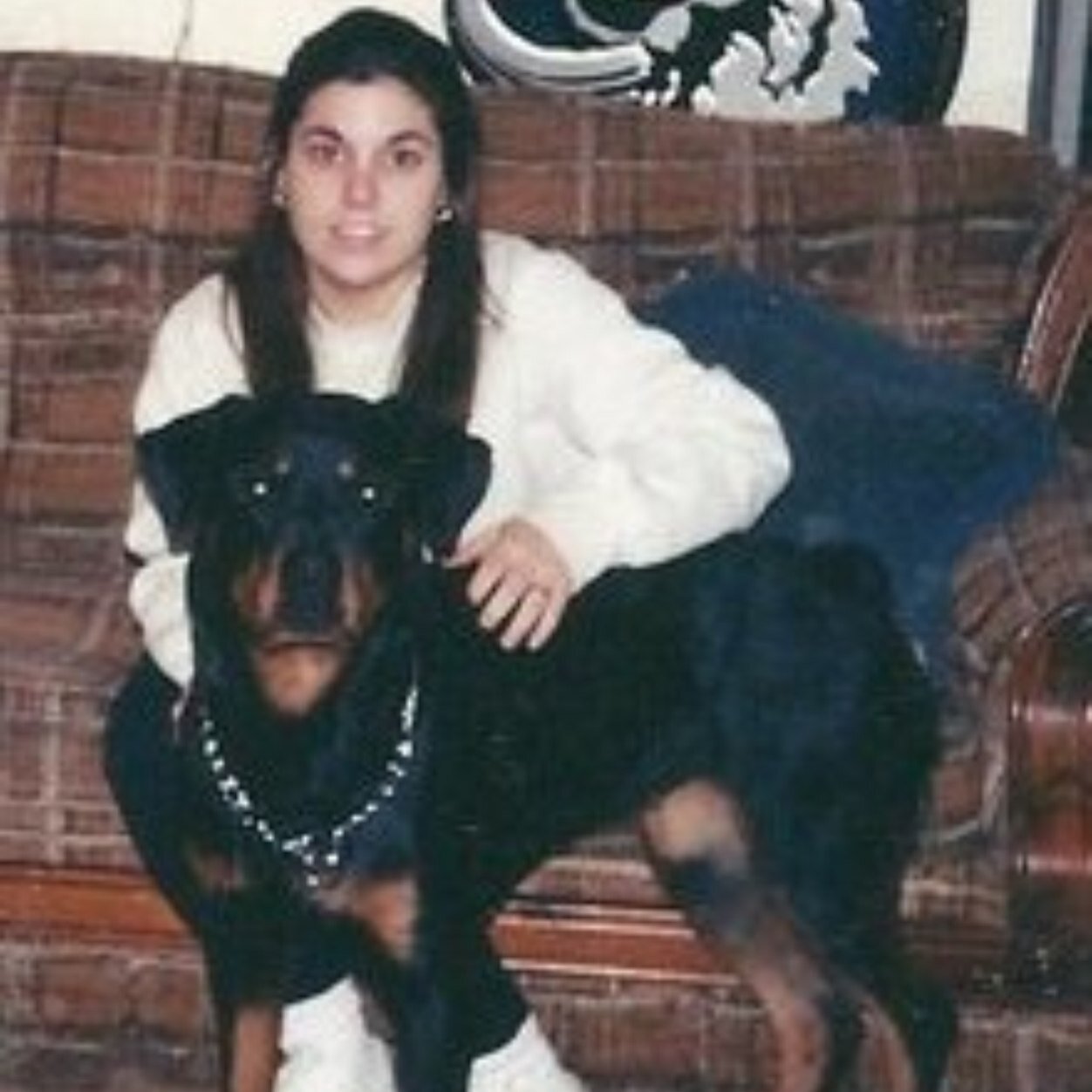 JmgSauro's profile picture. 