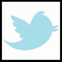 相互フォロー100%よろしくベイベー (@whitedove1f) Twitter profile photo