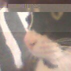 glitchArtFR's profile picture. Soon.