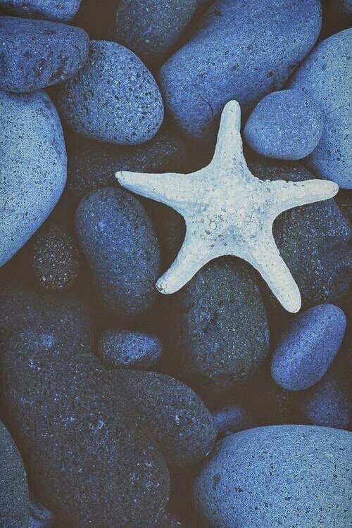 62454a90748f460's profile picture. 