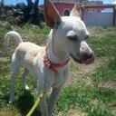 Norma Lara - @Normiux_lari - Twitter