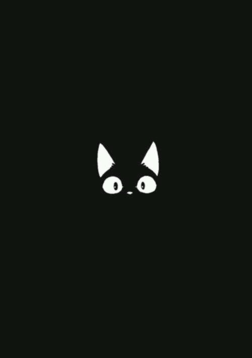 nynykoko's profile picture. 茨城に生息しております。