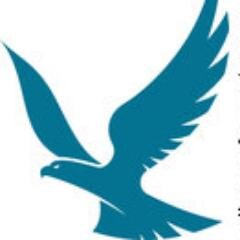 I'm a Hawk, Teal in color.