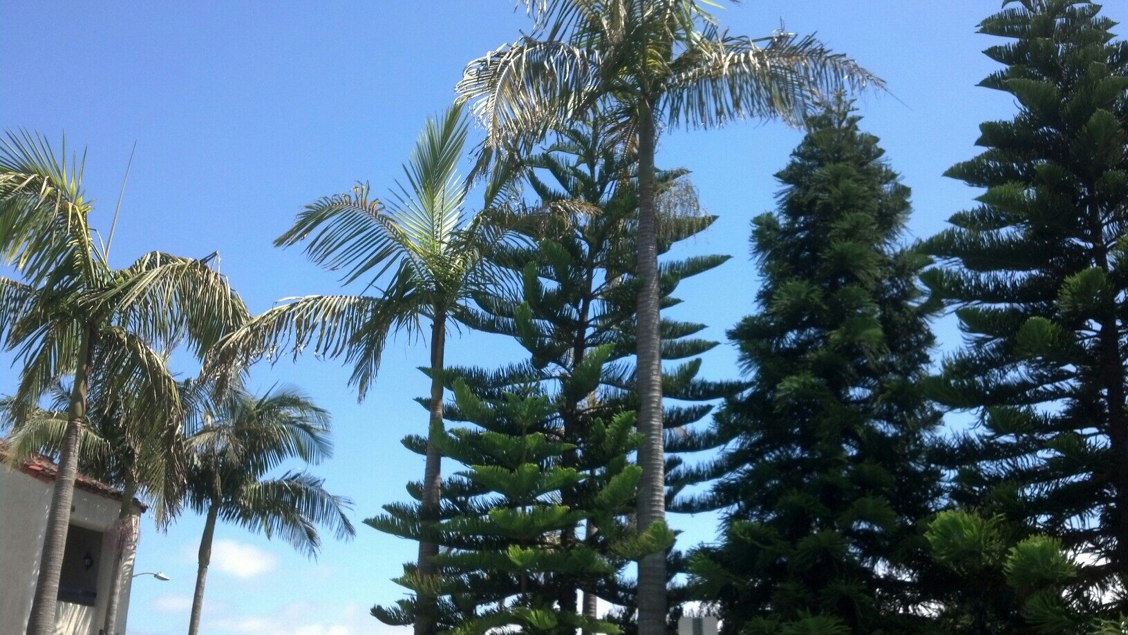 JohnSch00996185's profile picture. 