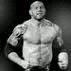AtrociousRage's profile picture. The Animal, 2x Royal Rumble winner, multi-time champion. #DealWithIt #BelieveInEvolution (@DaveBautista is the real deal.)