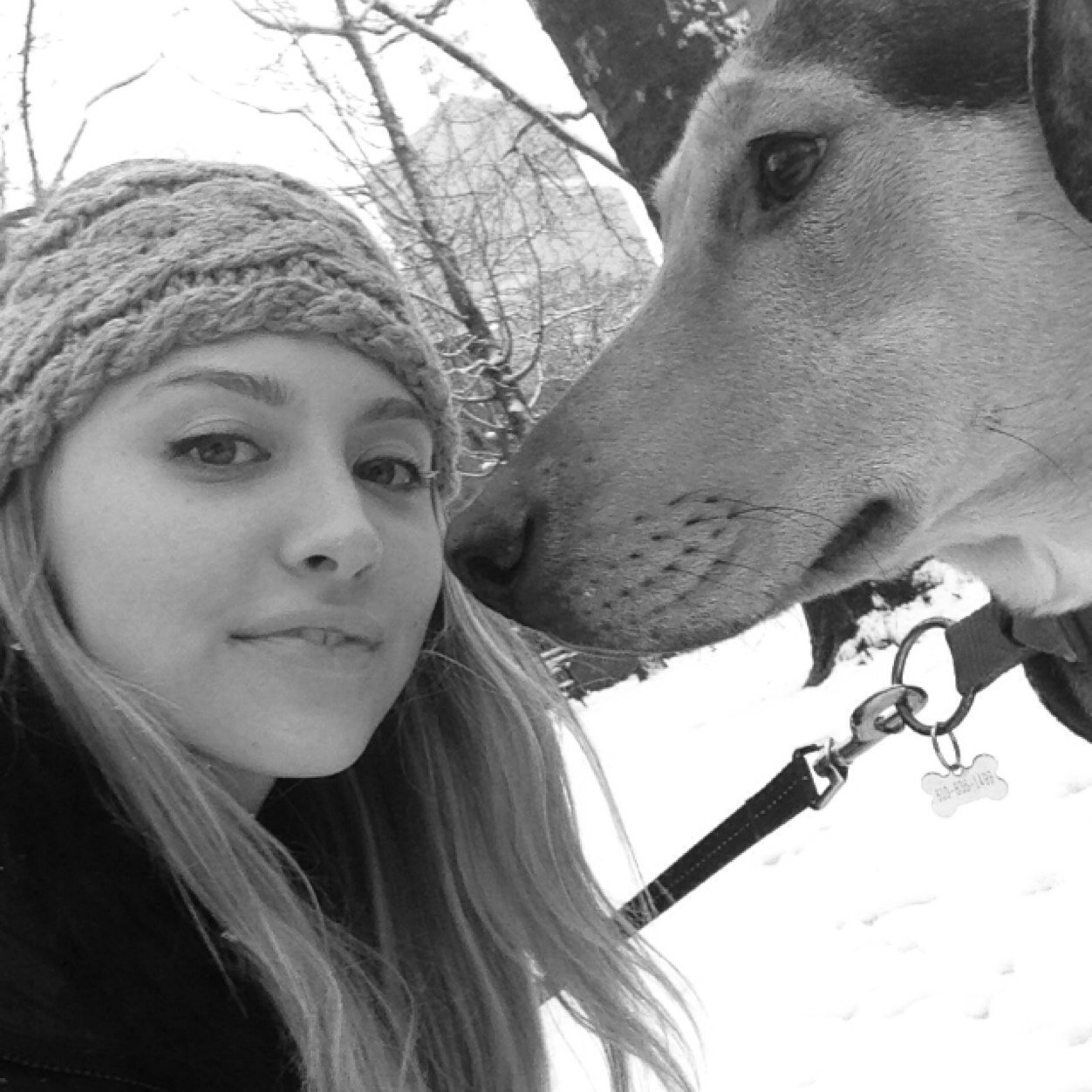 cheetahgreen's profile picture. 