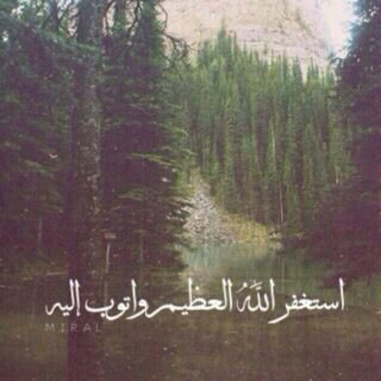 سبحان الله وبحمده سبحان الله العظيم