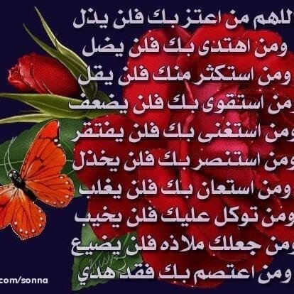 شكوت إلى وكيع سوء حظي