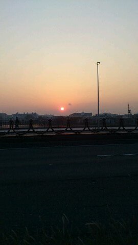 omakuma's profile picture. 