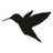 onhummingbird's profile image