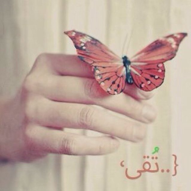استشارية الغدد الصماء والسكري