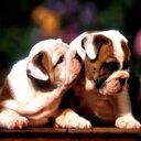 Robert Dee Willden - @rdw318 - Twitter