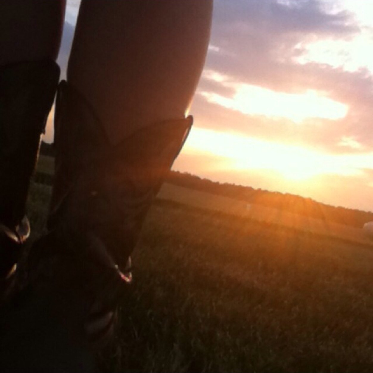 FemaleFarmhand's profile picture. I live on a farrow to finish hog farm, hiredhand on a dairy farm--- & I love every second of it •in the process of making a better me 2/7/15• #RockinThePinkBibs