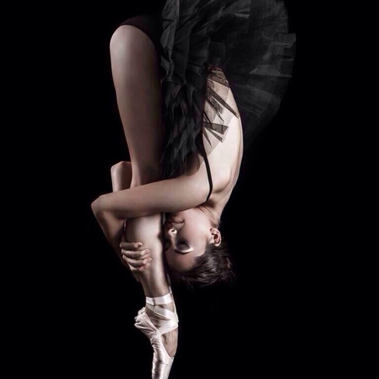 DancerPerks101's profile picture. 