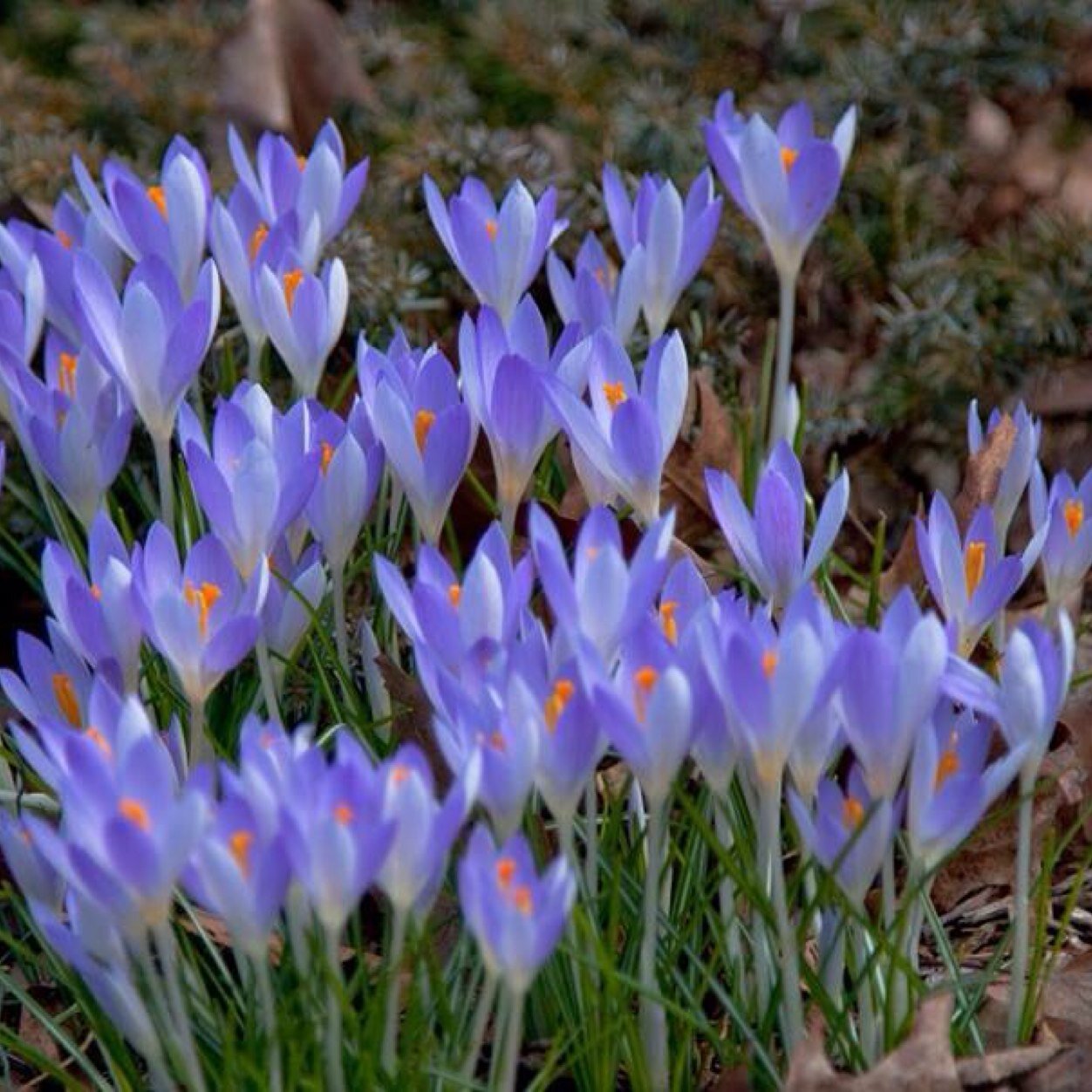 TAYLIN48's profile picture. IT IS WHAT IT IS !