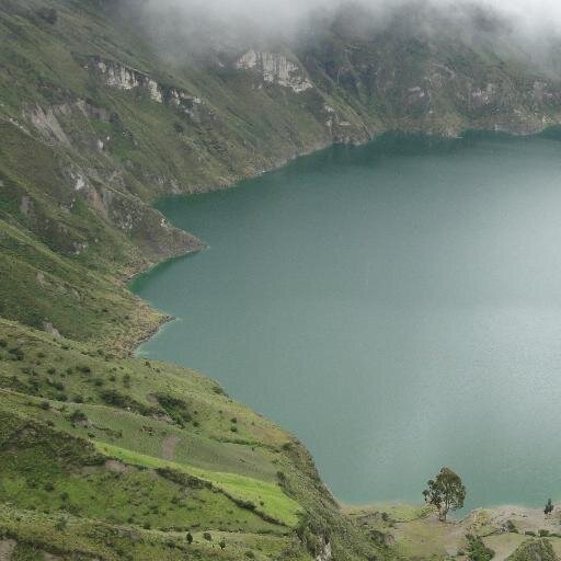 diafeliz777's profile picture. Redimido