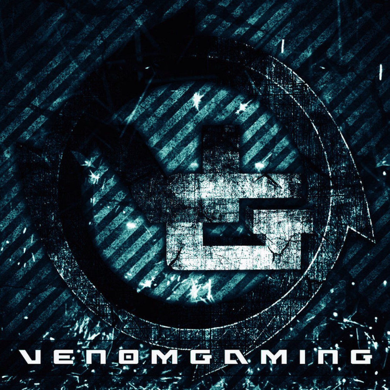 VenomGaming/leader/FounderofVenomGaming