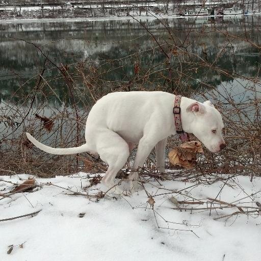 KiDurango's profile picture. Singer/Writer for Kid Durango. That's me in the profile photo.