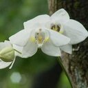 Tay Harris - @TayHRRis - Twitter