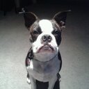 Michelle Lucy - @micheth79 - Twitter