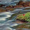 Dave Falconer - @DFalconerPhoto - Twitter