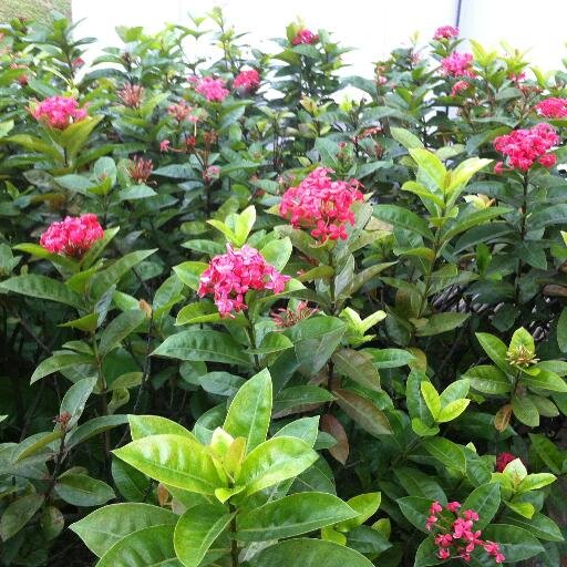 francescagsb's profile picture. 